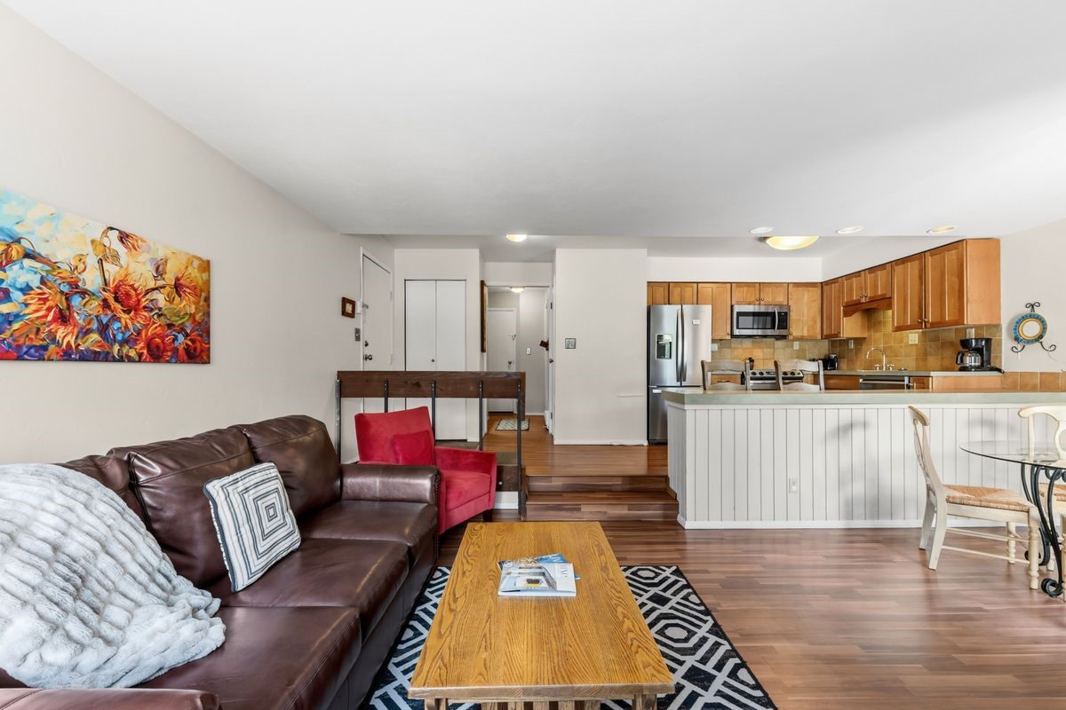 246 Broken Lance Drive Breckenridge CO 80424