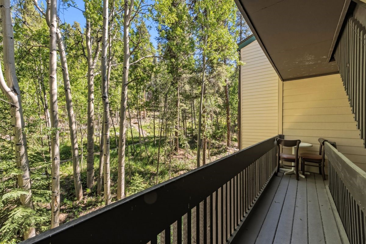 246 Broken Lance Drive Breckenridge CO 80424