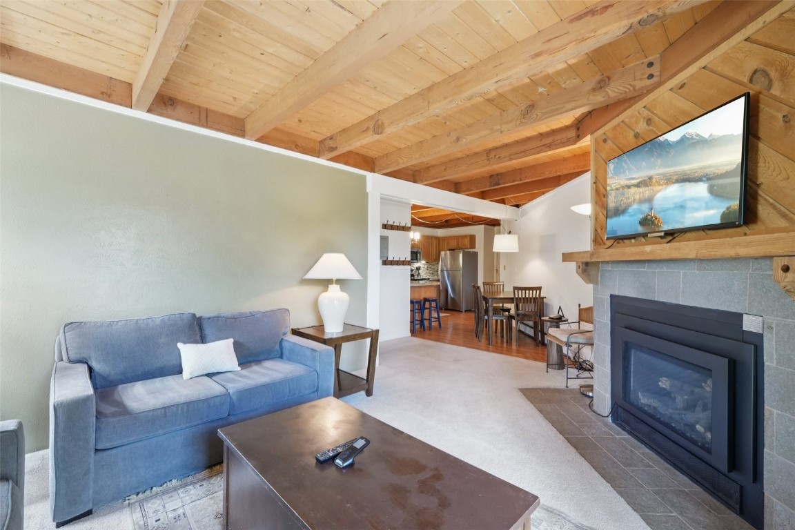 4200 Lodge Pole Circle Silverthorne CO 80498