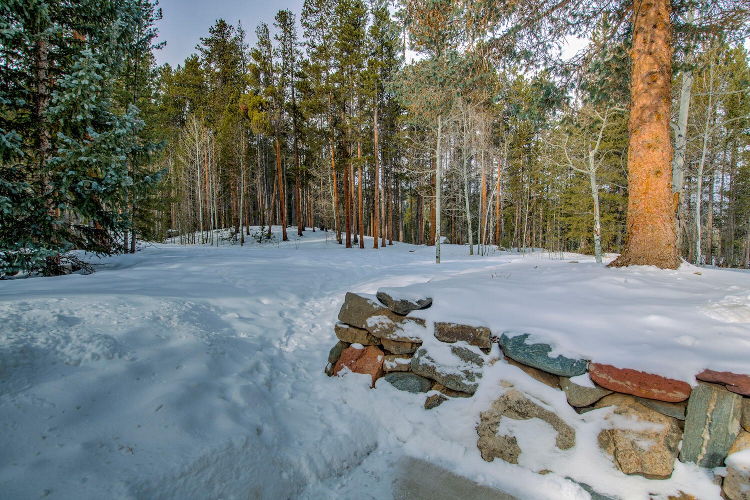 9379 State Highway 9 Breckenridge CO 80424