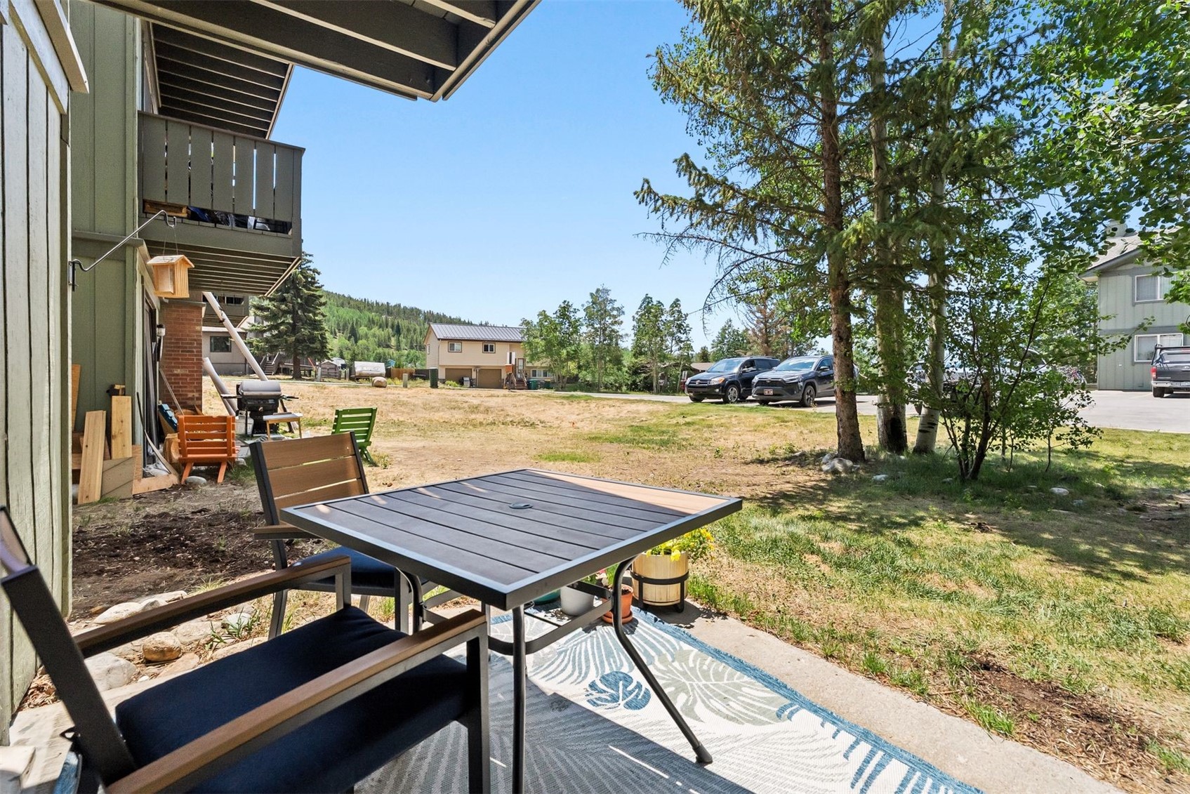 893 Straight Creek Drive Dillon CO 80435