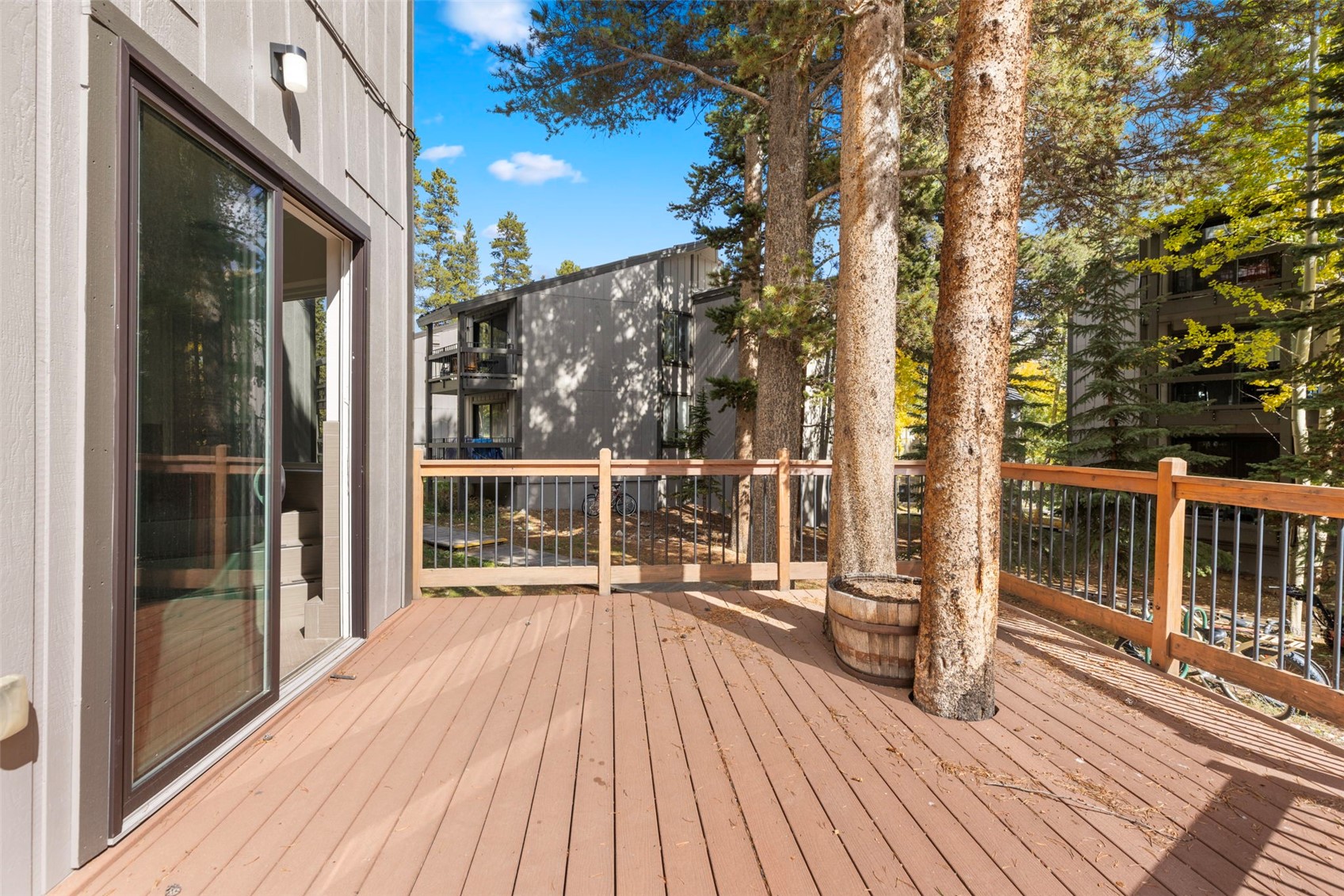 1127 Ski Hill Road Breckenridge CO 80424