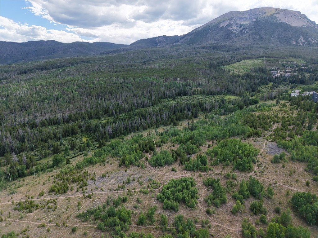 67 Fox Hollow Lane Silverthorne CO 80498