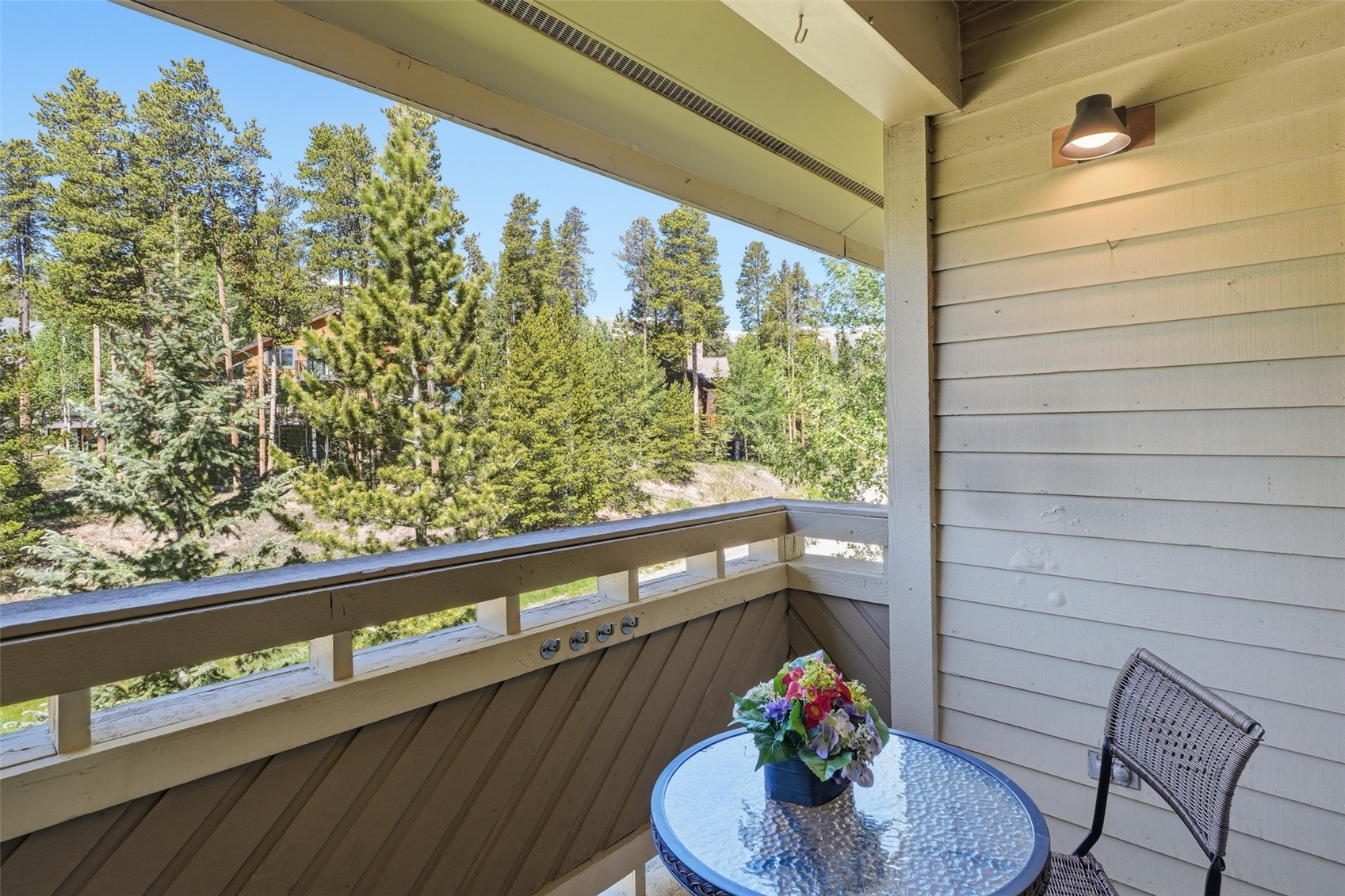 1001 Grandview Drive Breckenridge CO 80424
