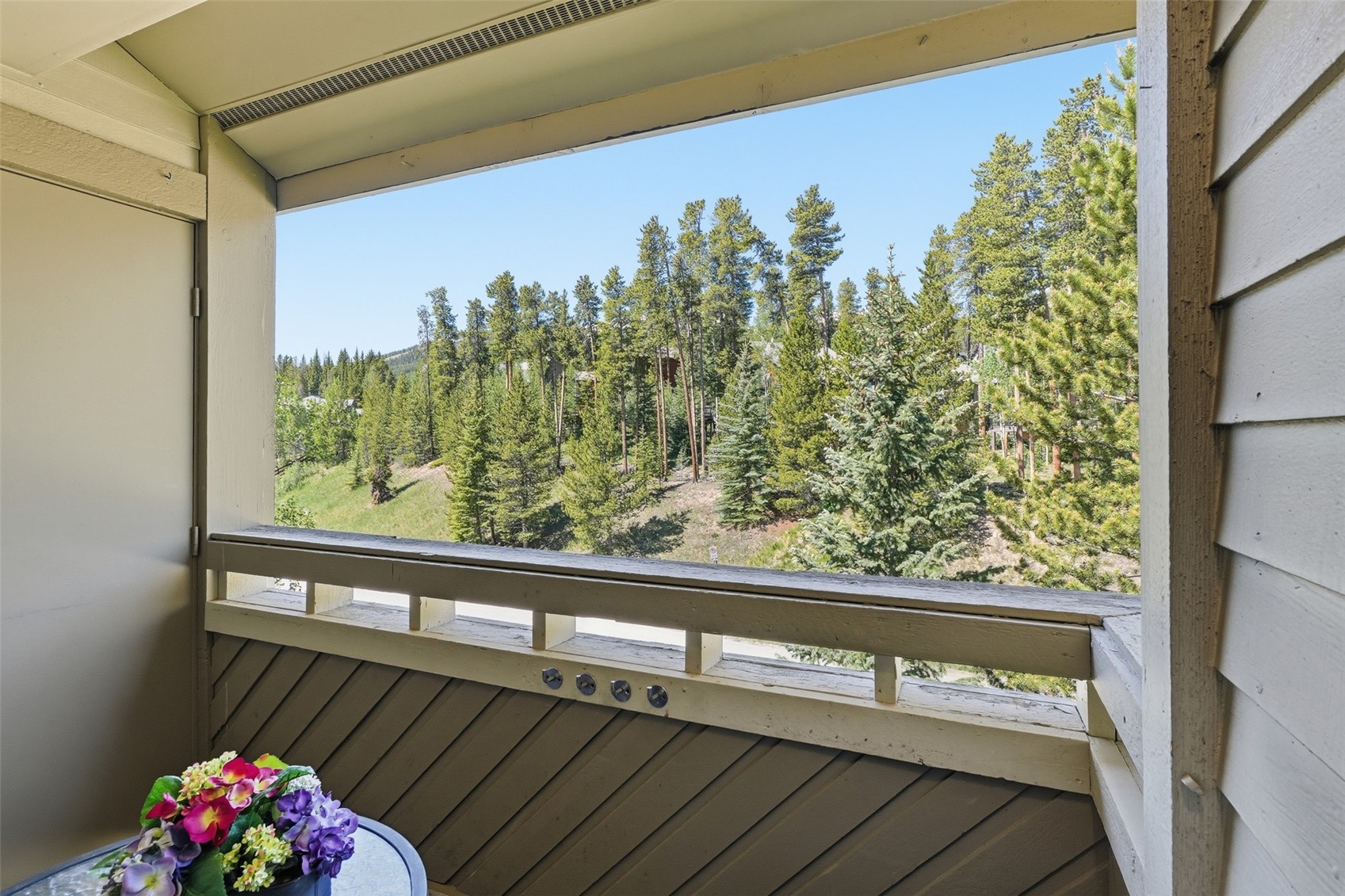 1001 Grandview Drive Breckenridge CO 80424