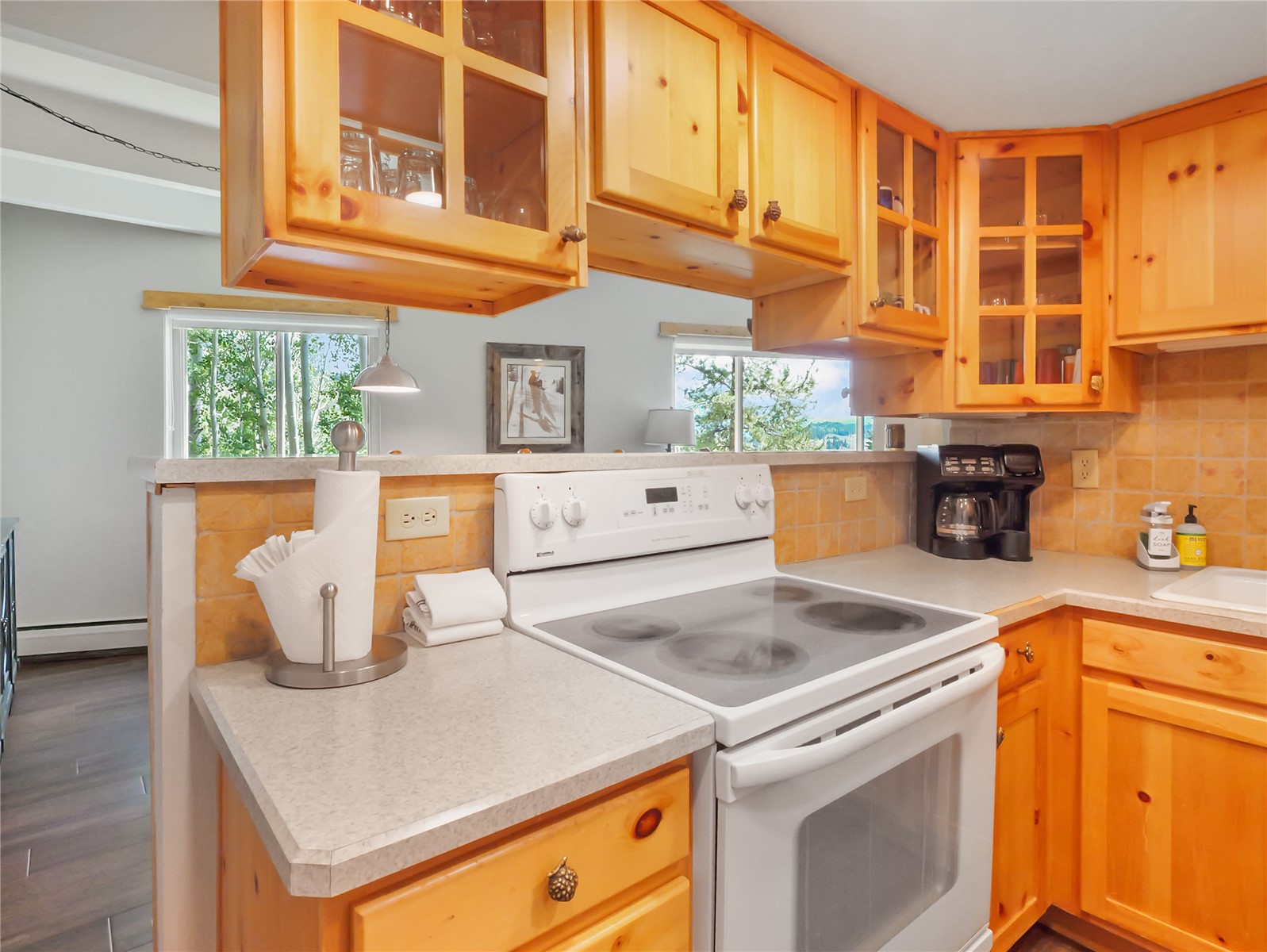 370 E La Bonte Street Dillon CO 80435