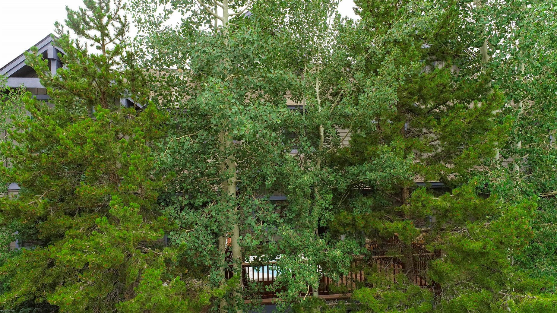 70 Oak Lane Breckenridge CO 80424