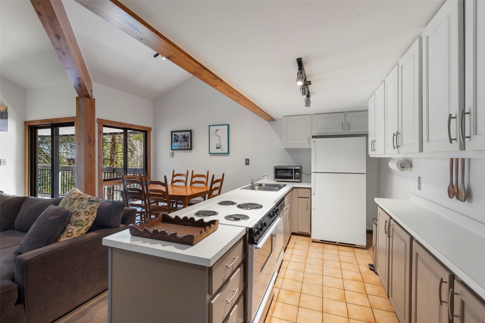 393 Wild Irishman Road Keystone CO 80435