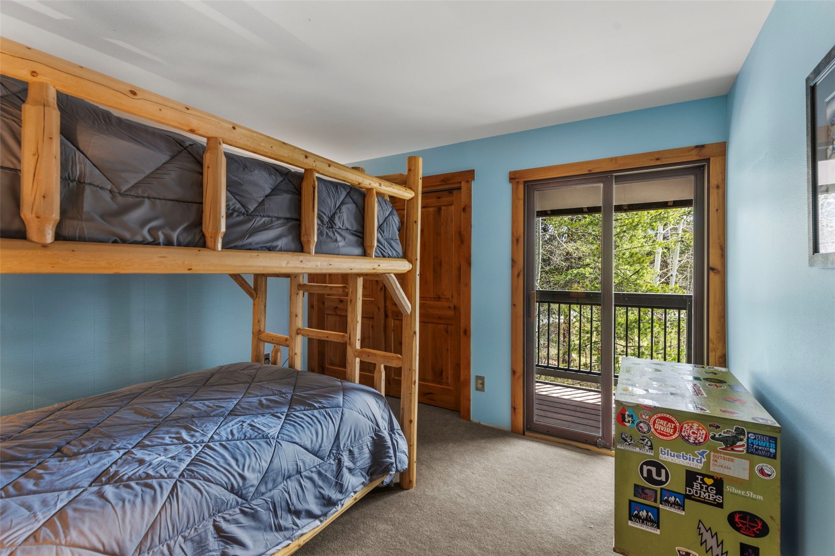 393 Wild Irishman Road Keystone CO 80435