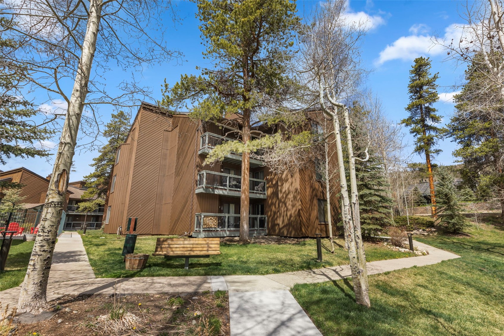 393 Wild Irishman Road Keystone CO 80435