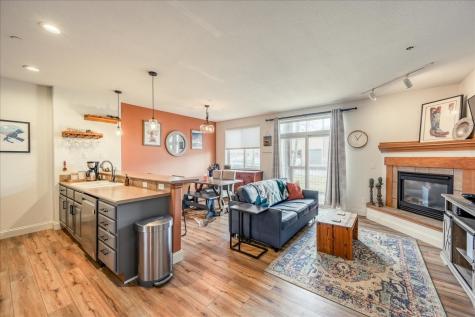 844 Blue River Parkway Silverthorne CO 80498