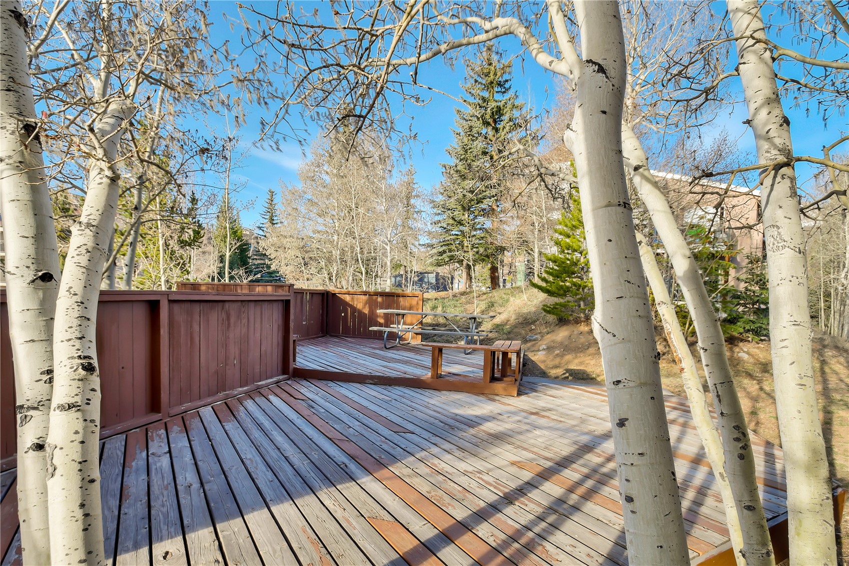 2710 Ryan Gulch Road Silverthorne CO 80498