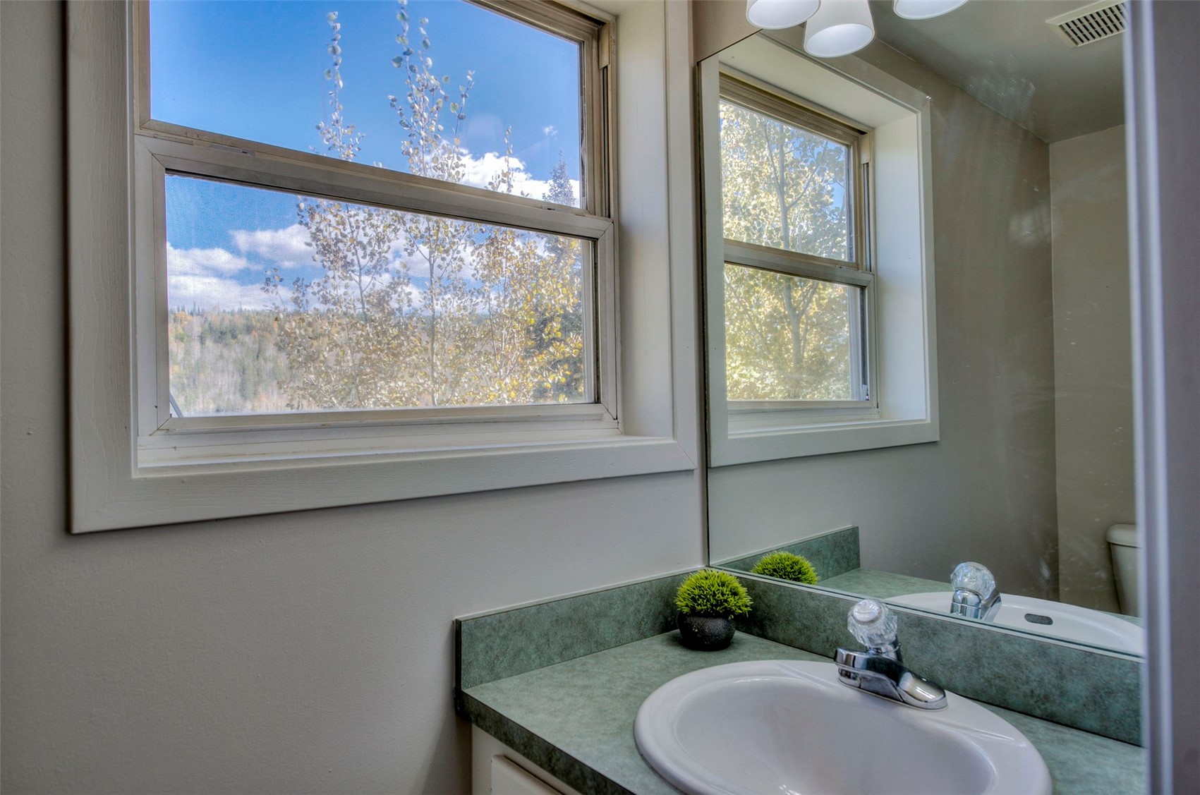 152 Fawn Court Silverthorne CO 80498