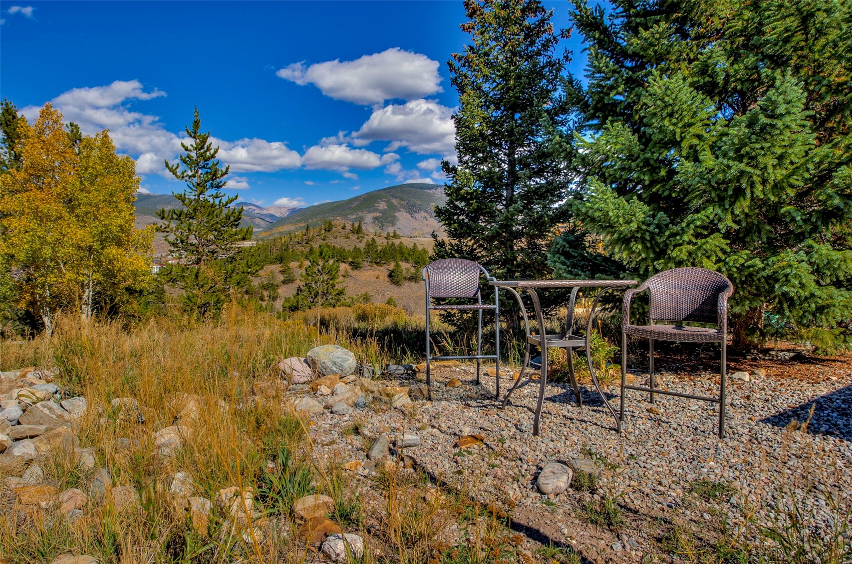 152 Fawn Court Silverthorne CO 80498
