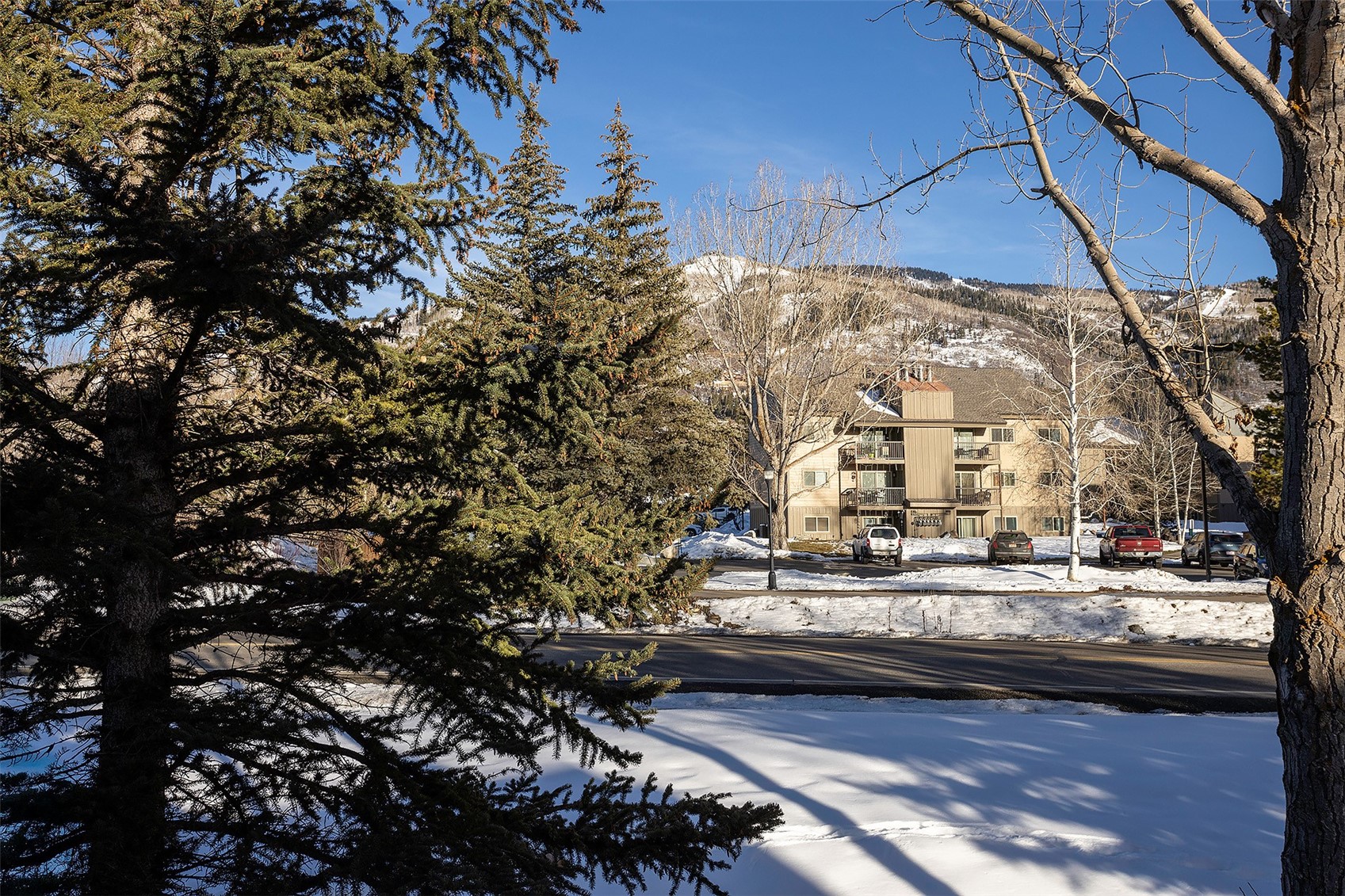 1462 Morgan Court Steamboat Springs CO 80487