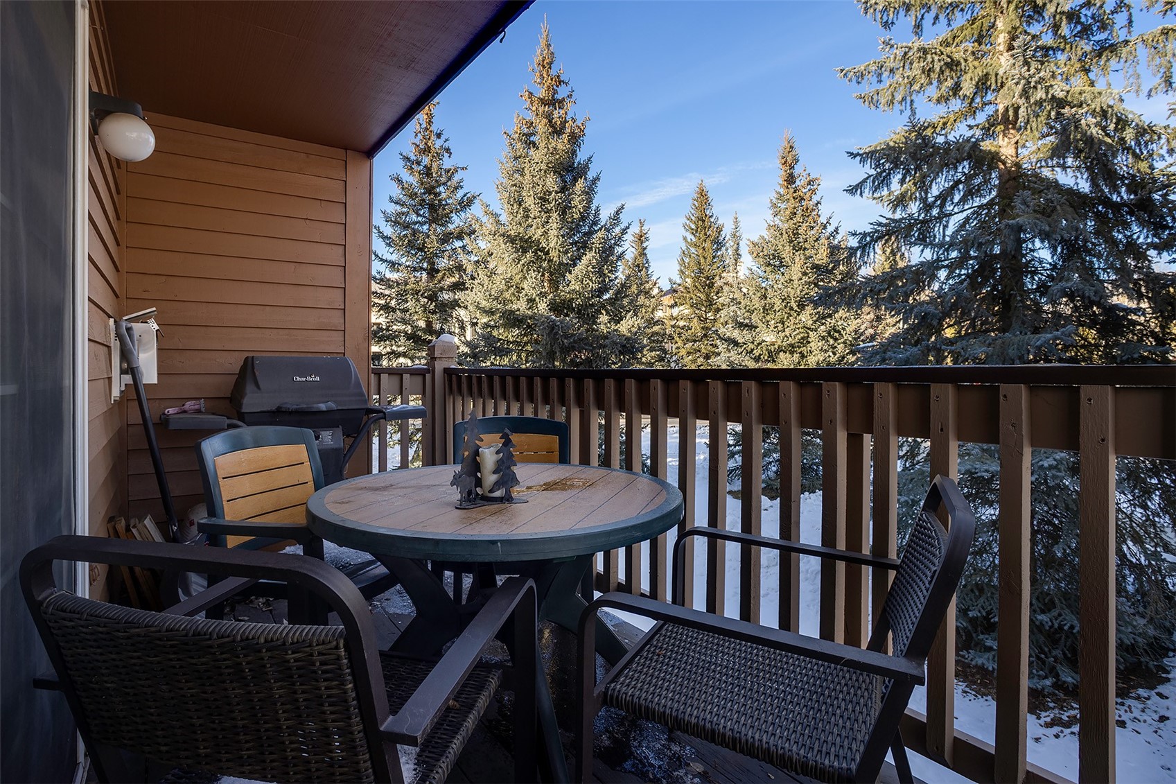1462 Morgan Court Steamboat Springs CO 80487