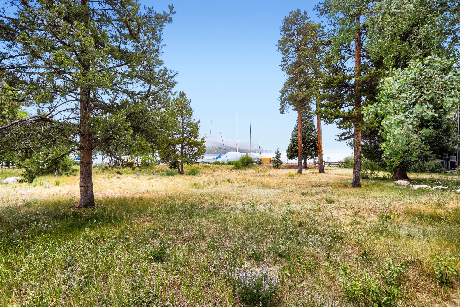 160 E La Bonte Street Dillon CO 80435