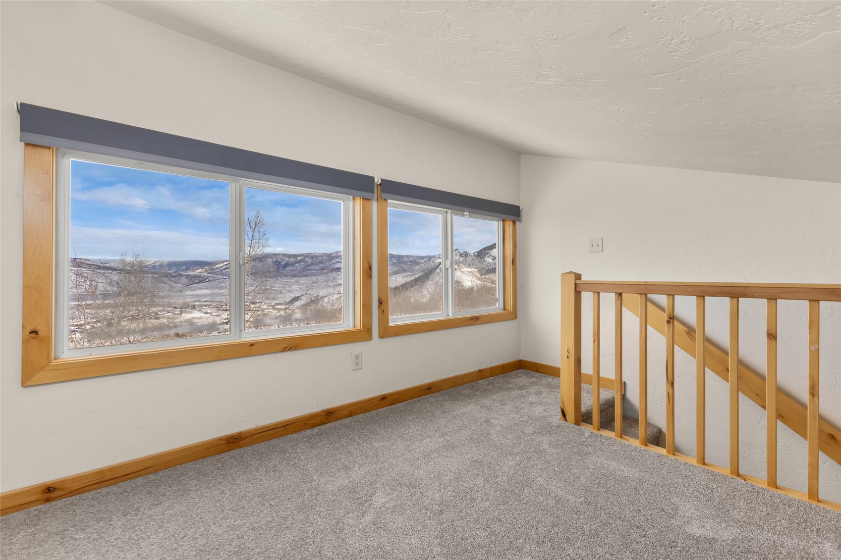 23015 Schussmark Trail Oak Creek CO 80467
