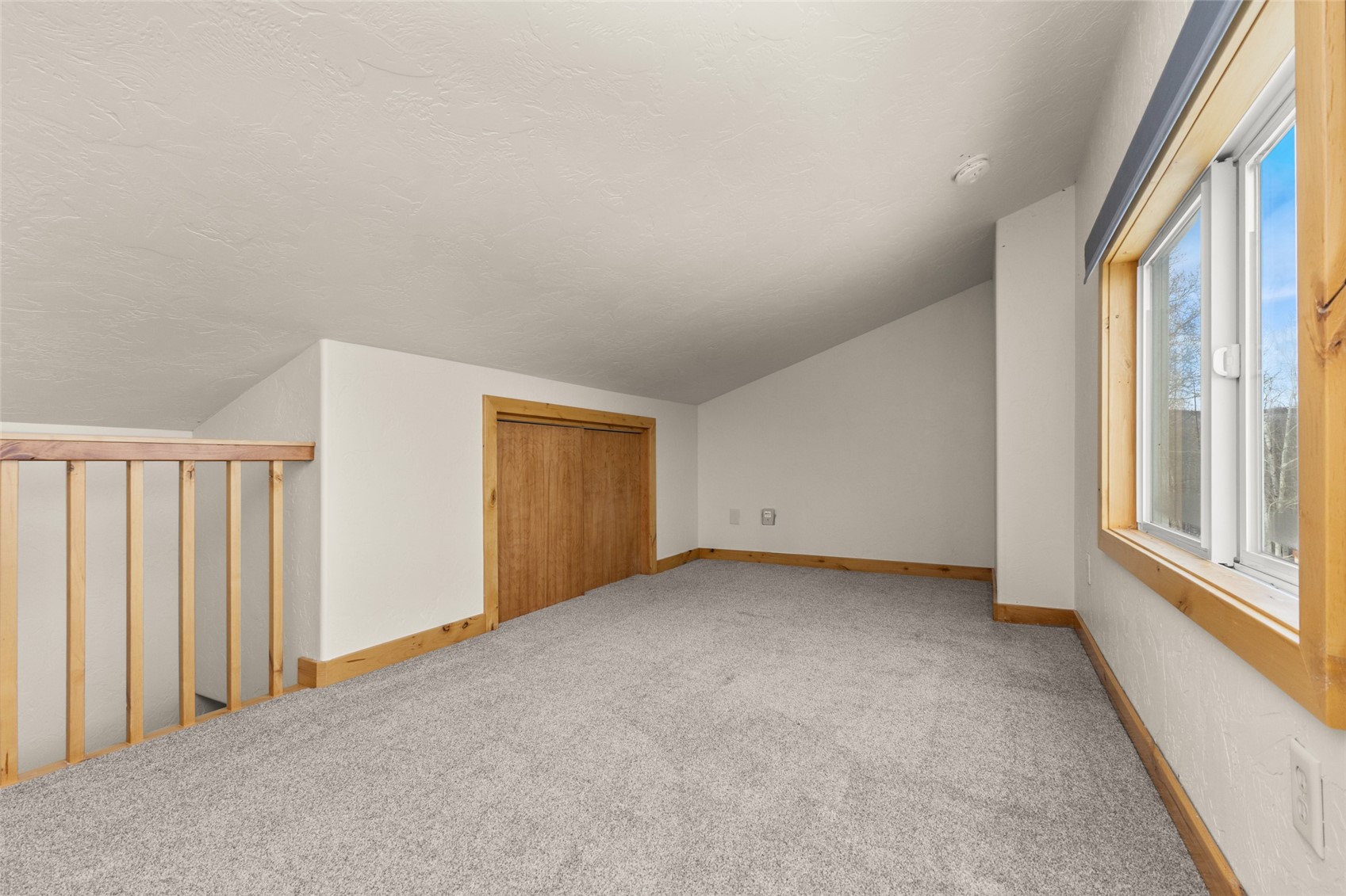 23015 Schussmark Trail Oak Creek CO 80467