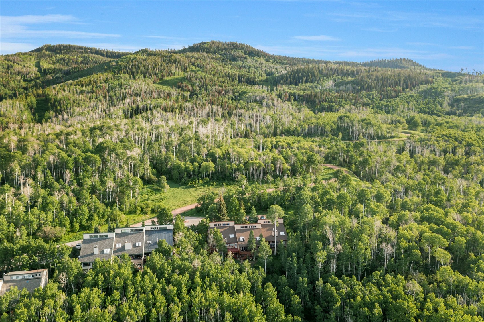 23015 Schussmark Trail Oak Creek CO 80467