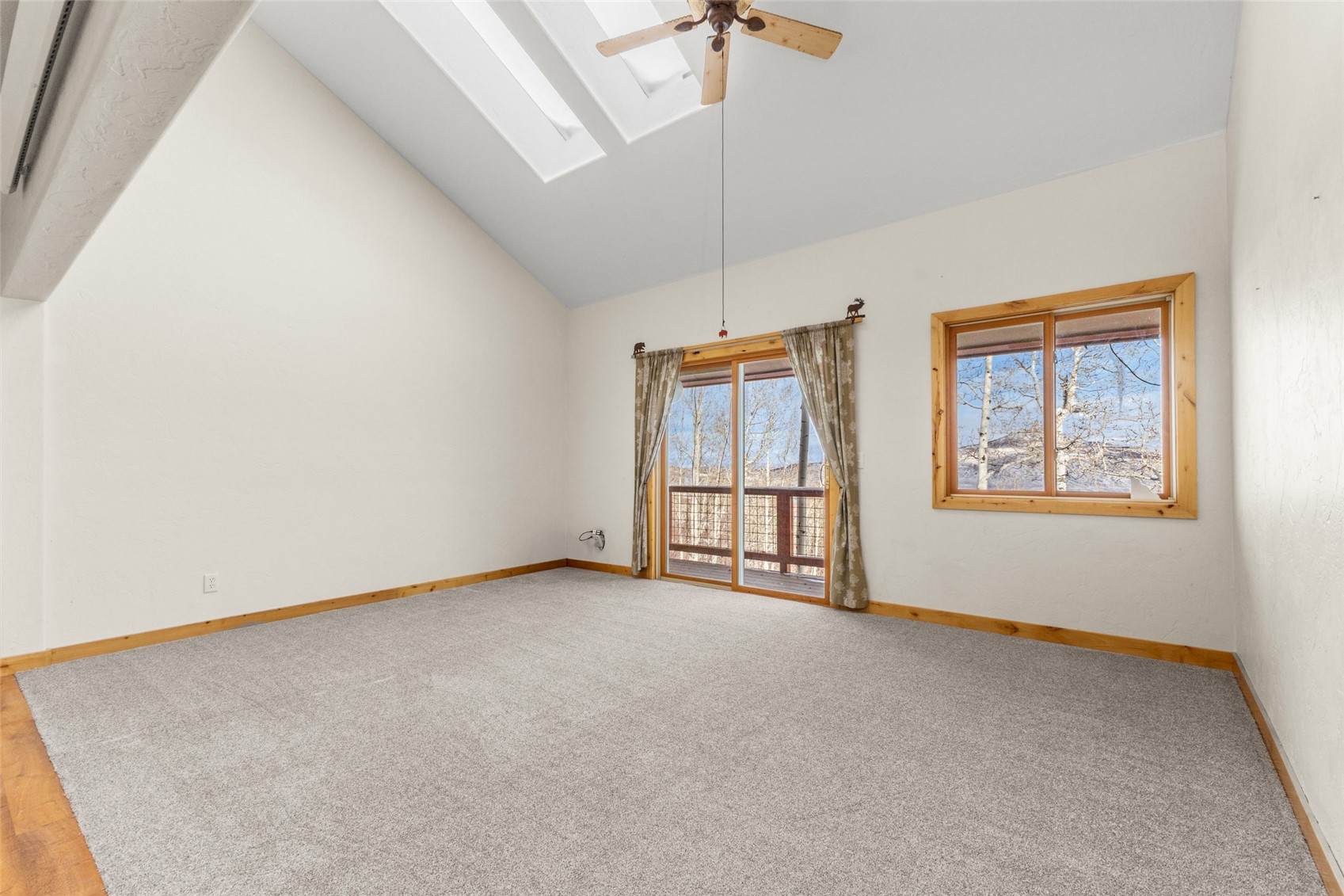 23015 Schussmark Trail Oak Creek CO 80467