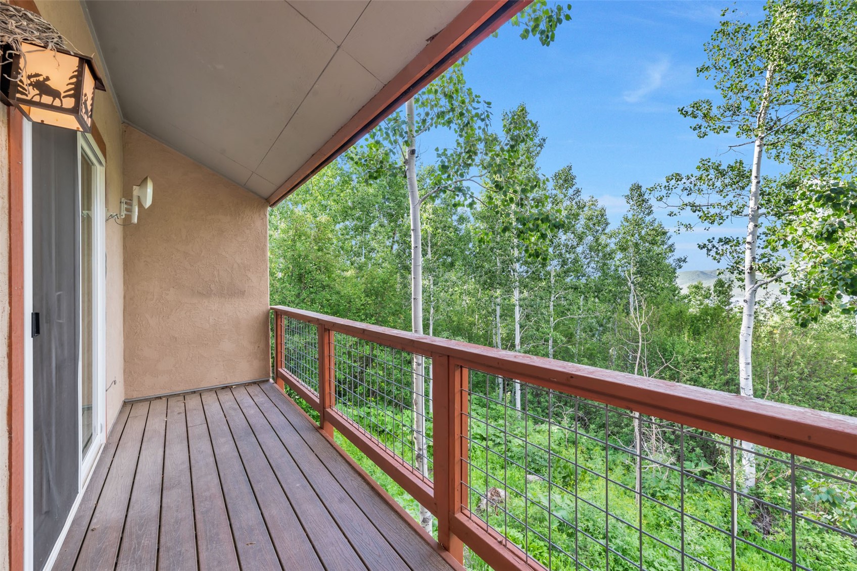 23015 Schussmark Trail Oak Creek CO 80467