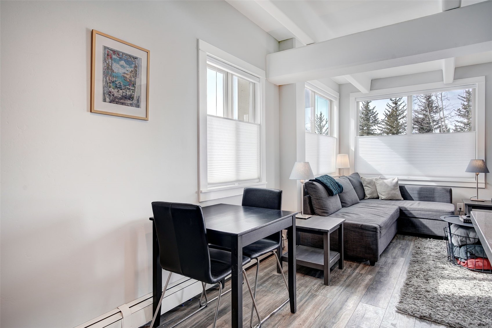 225 Overlook Drive Breckenridge CO 80424