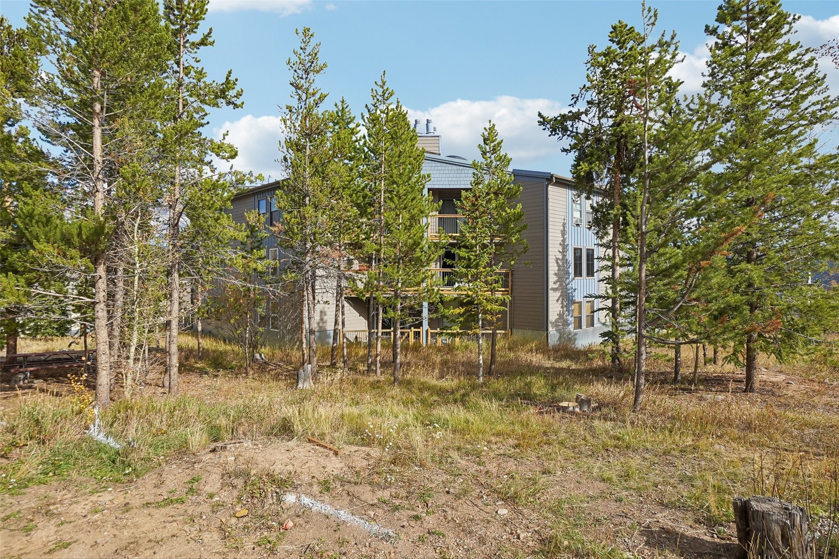 8500 Ryan Gulch Road Silverthorne CO 80498