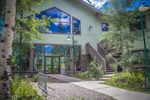 2300 Lodge Pole Circle Silverthorne CO 80498