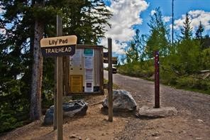 2300 Lodge Pole Circle Silverthorne CO 80498