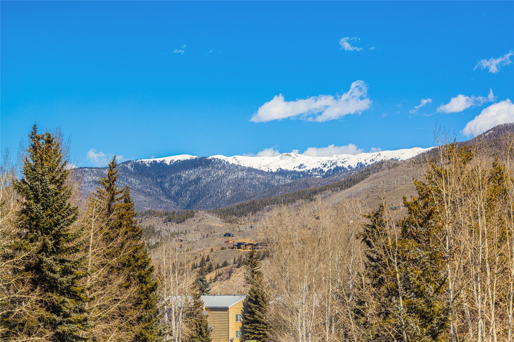 557 Center Circle Silverthorne CO 80498