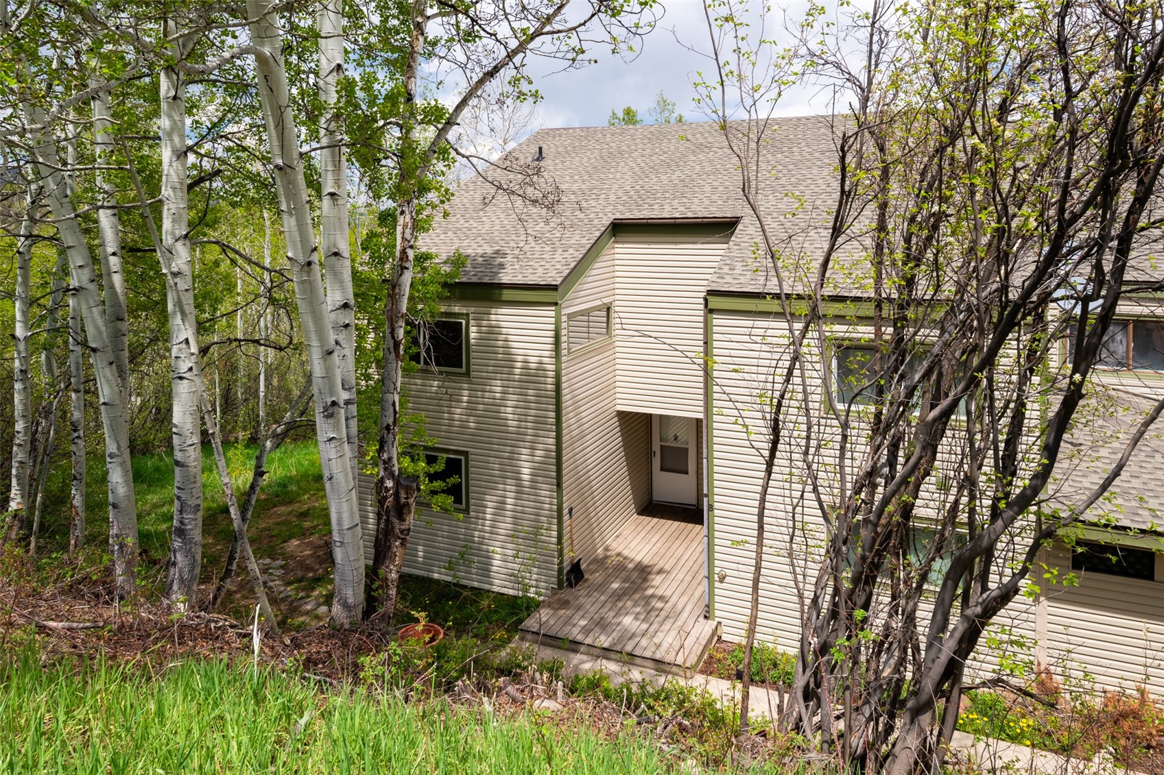 23120 Schussmark Trail Oak Creek CO 80467