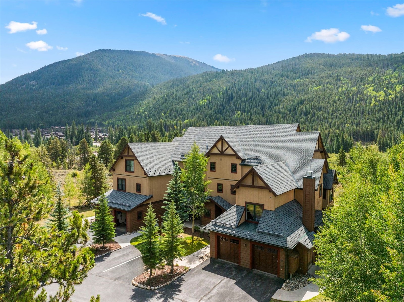 Keystone CO, 108 Hawk Circle, Unit 2351