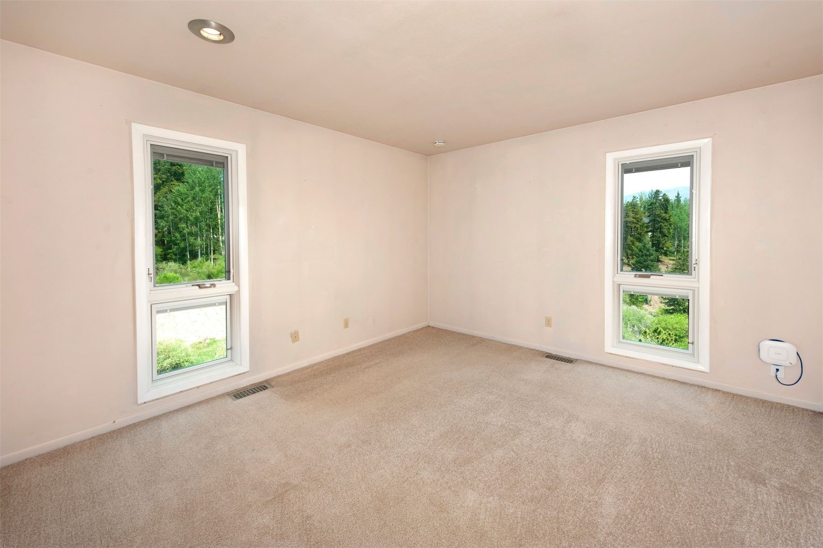 21 Buffalo Drive Silverthorne CO 80498