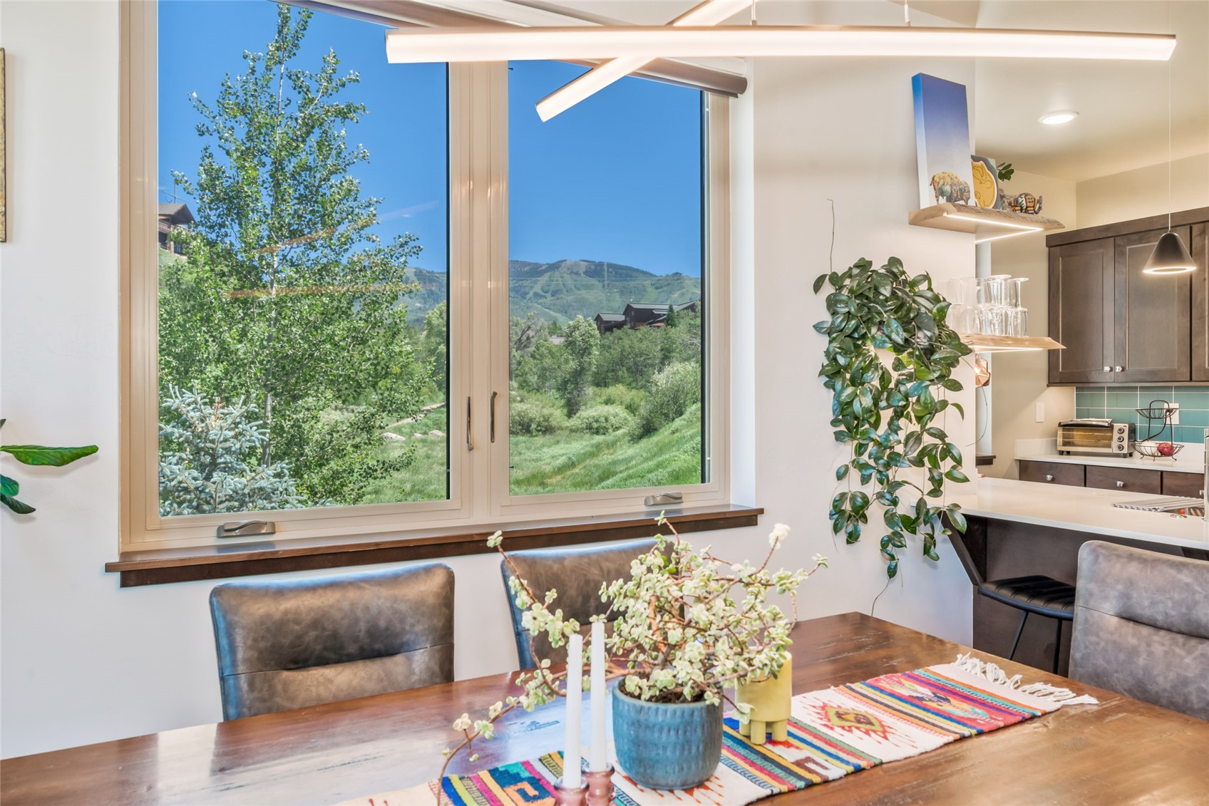 350 Fox Springs Circle Steamboat Springs CO 80487