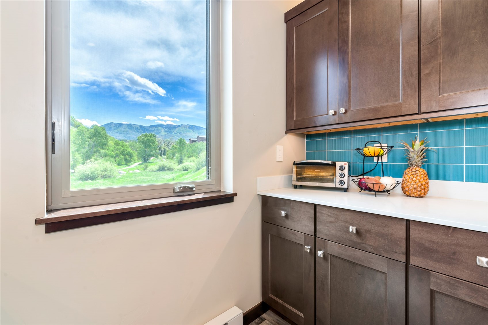 350 Fox Springs Circle Steamboat Springs CO 80487