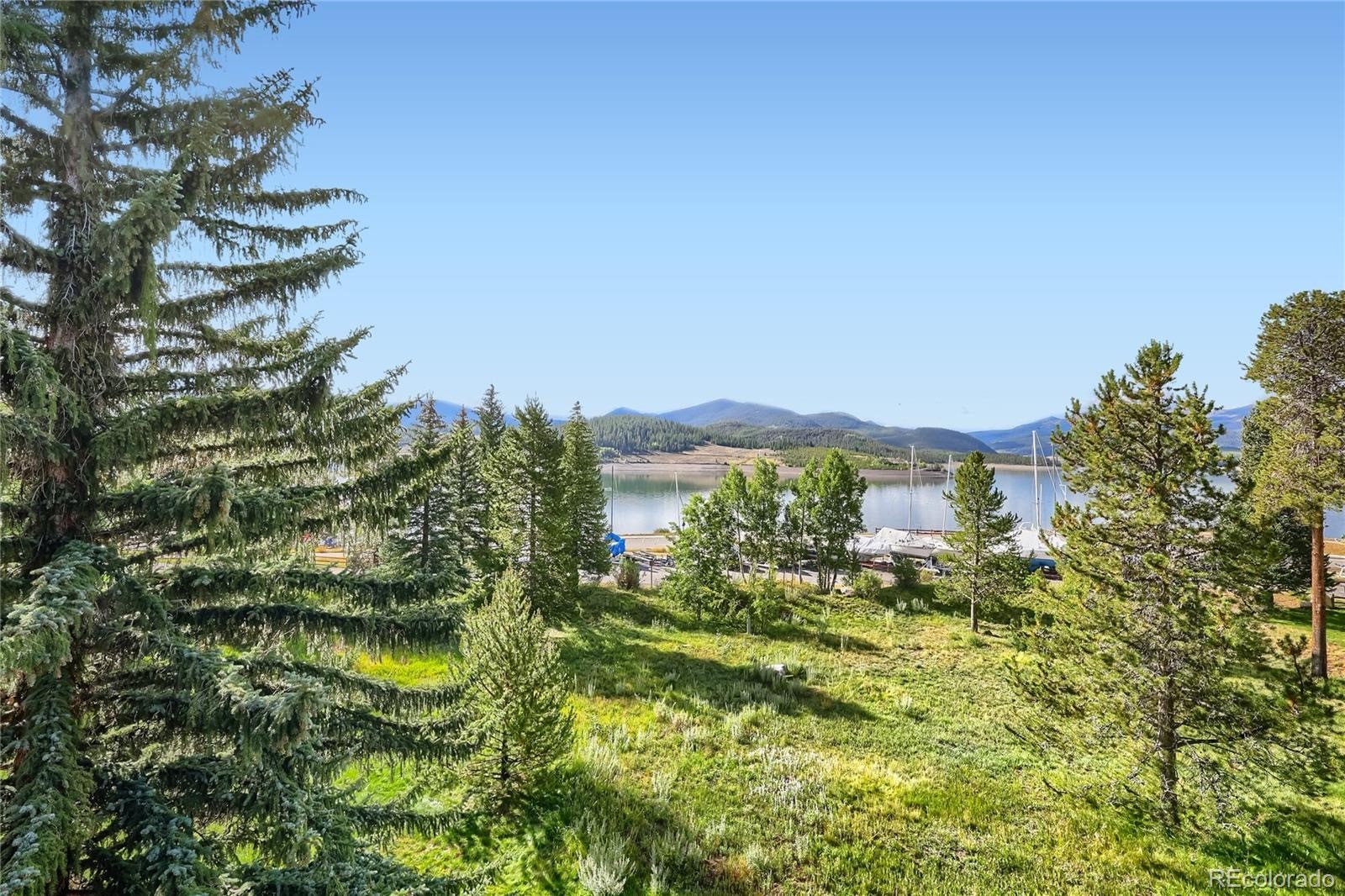 160 E La Bonte Street Dillon CO 80435