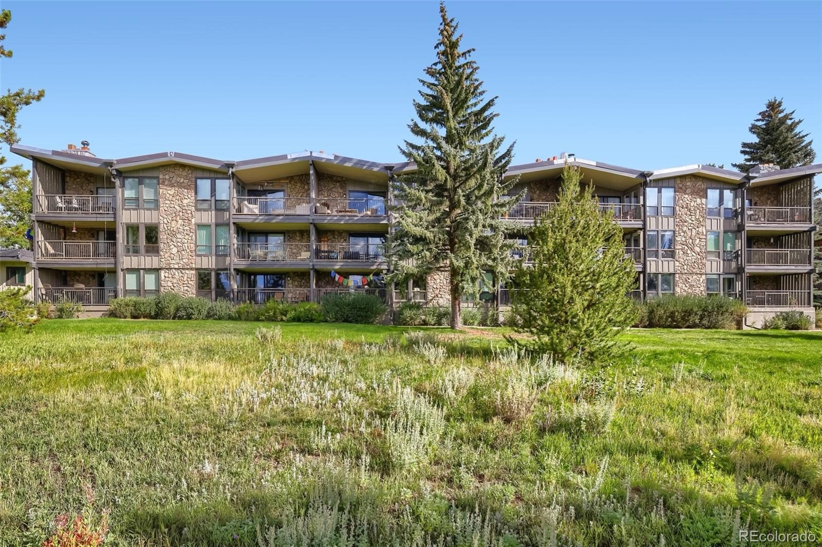 160 E La Bonte Street Dillon CO 80435