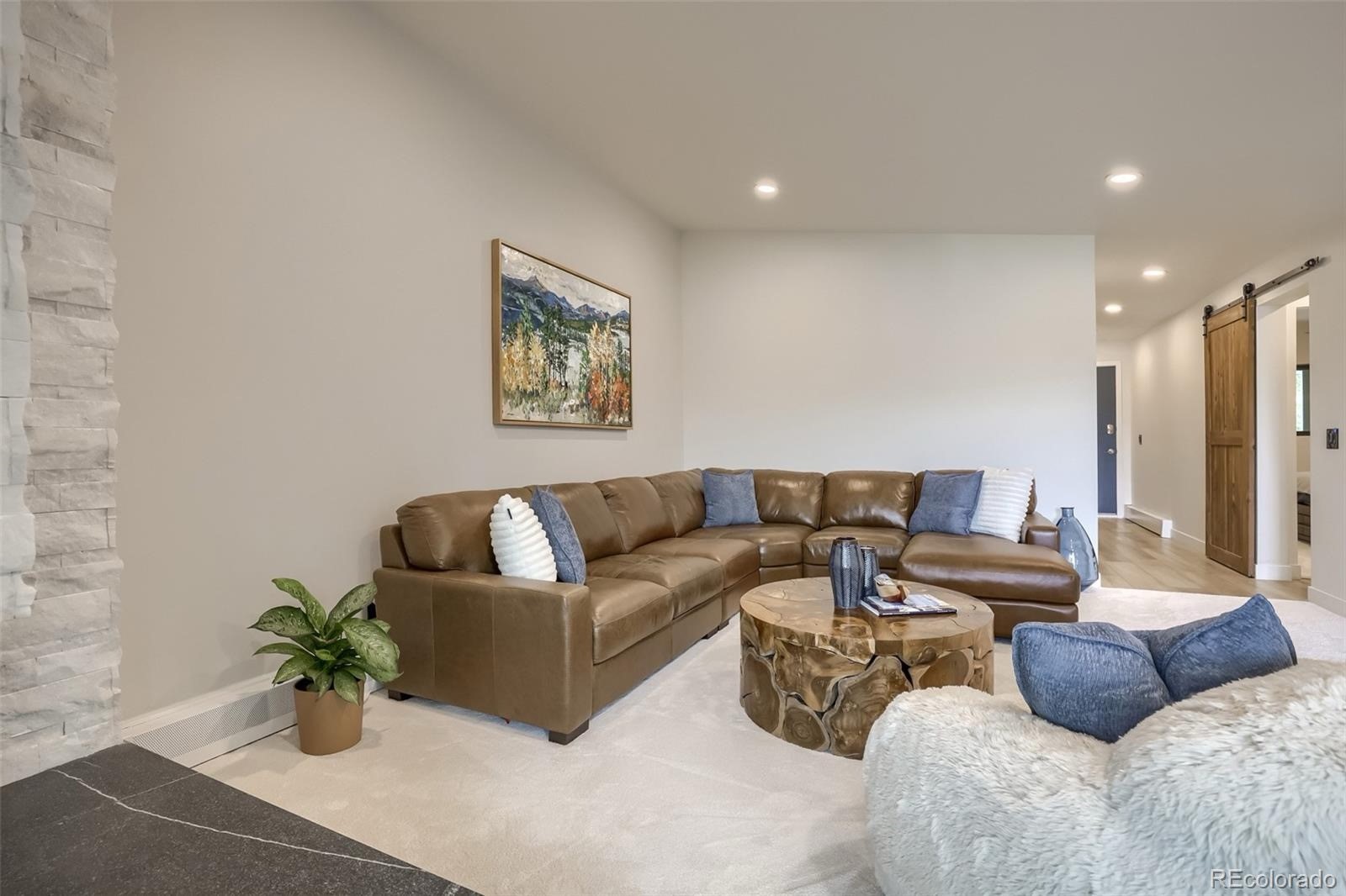 160 E La Bonte Street Dillon CO 80435