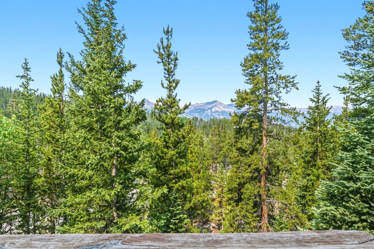 28 Illinois Gulch Road Breckenridge CO 80424