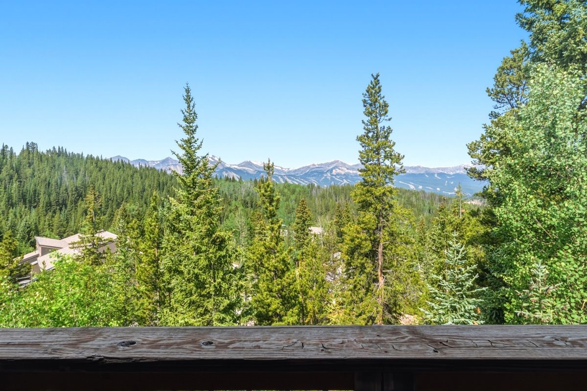 28 Illinois Gulch Road Breckenridge CO 80424