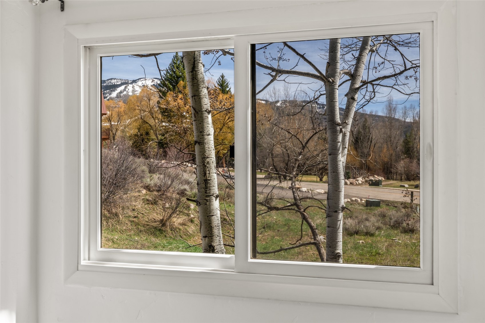 620 Anglers Drive Steamboat Springs CO 80487