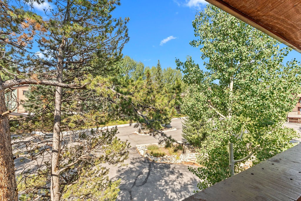 405 Four Oclock Road Breckenridge CO 80424