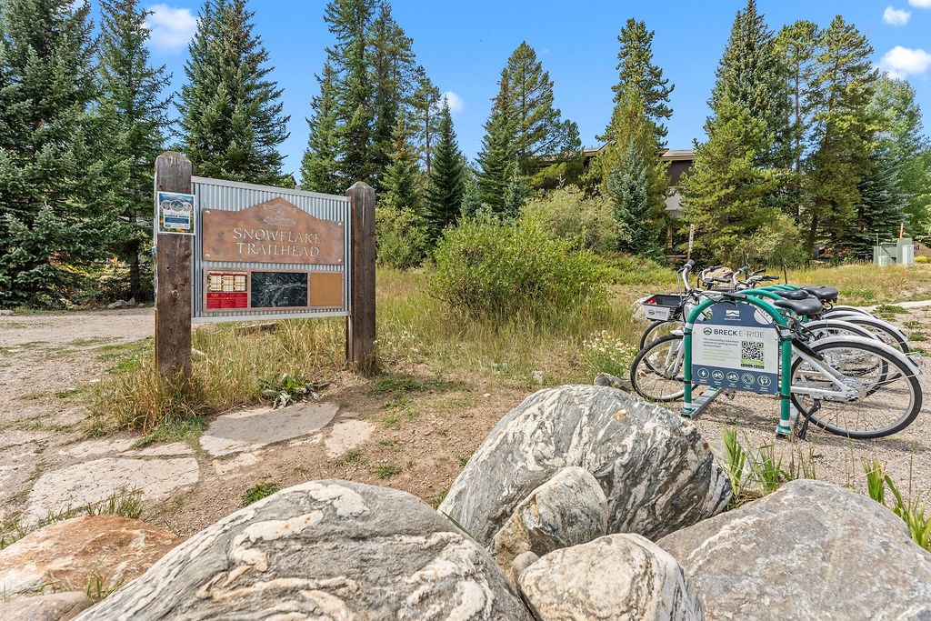 405 Four Oclock Road Breckenridge CO 80424