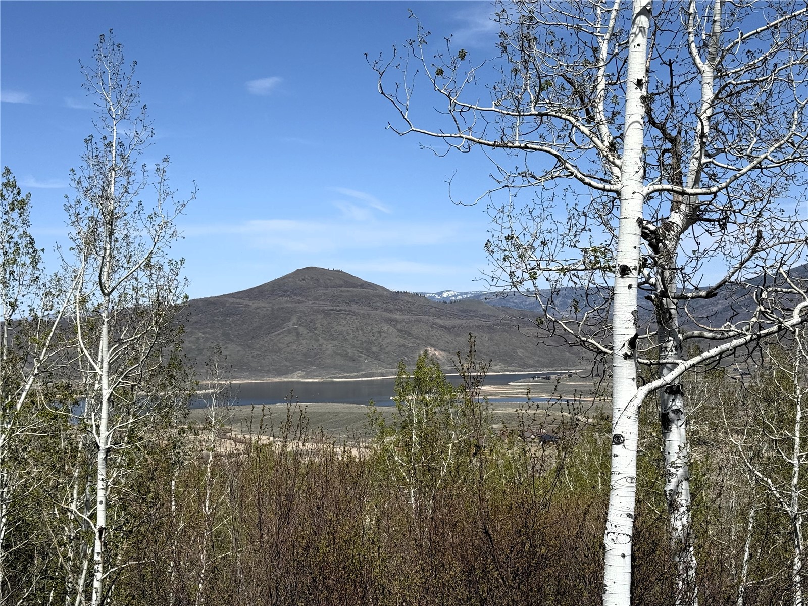 23015 Schussmark Trail Oak Creek CO 80467