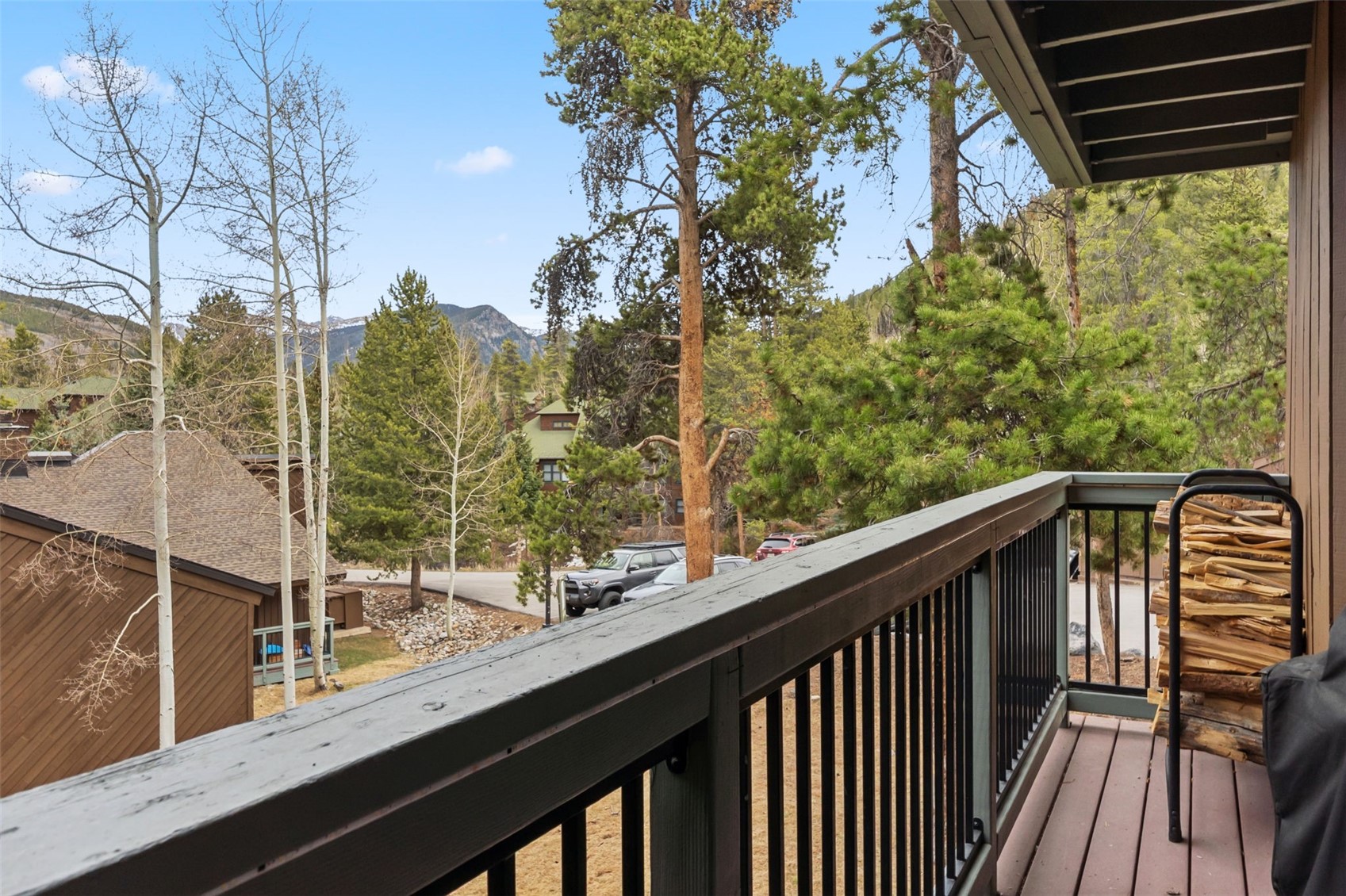 423 Wild Irishman Road Keystone CO 80435