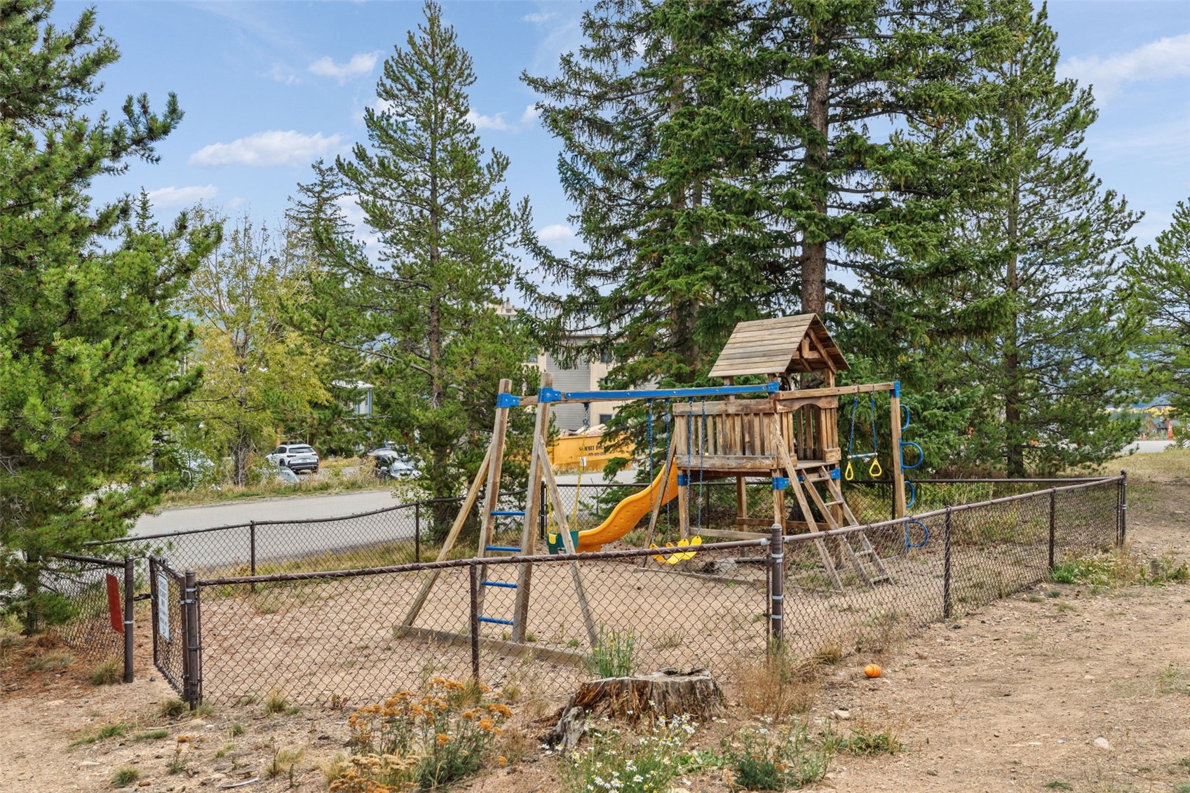 10 Spyglass Lane Silverthorne CO 80498