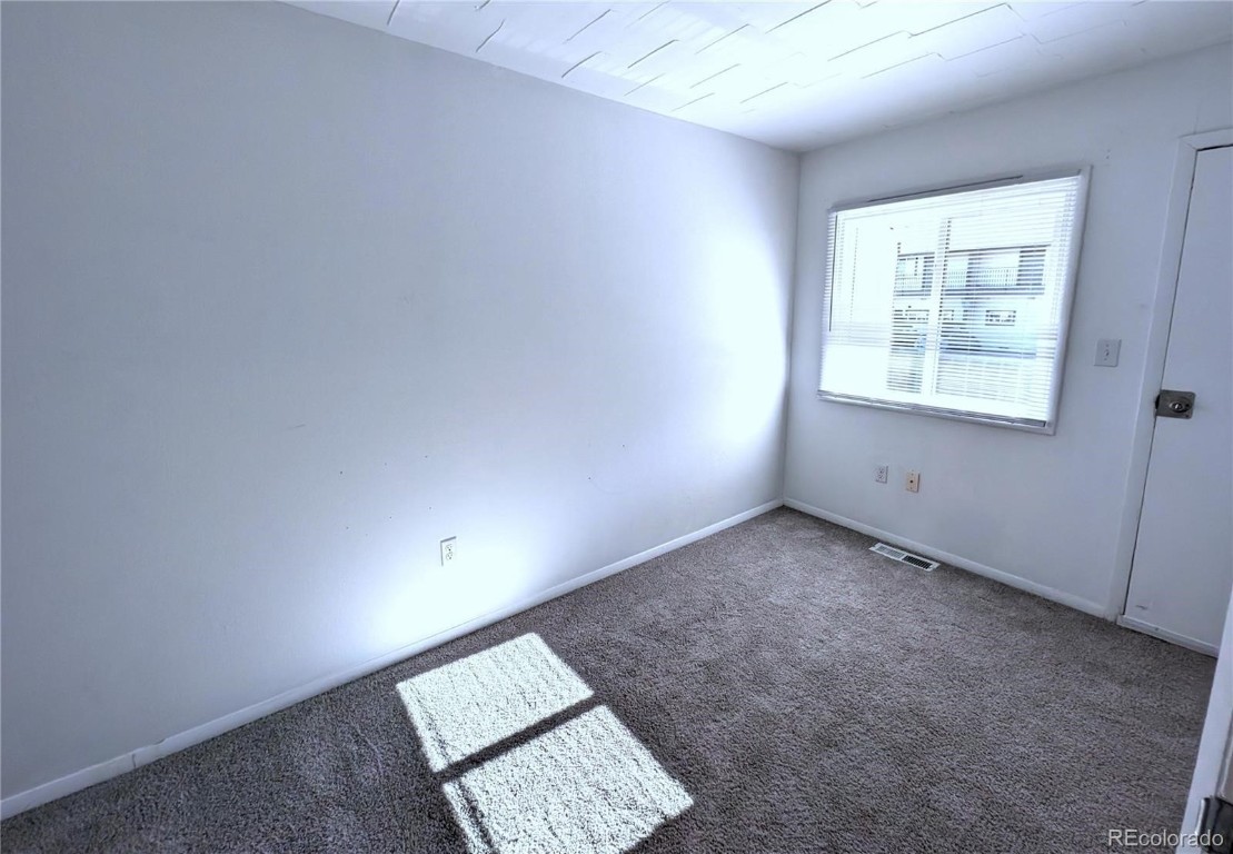 921 Mount Massive Leadville CO 80461