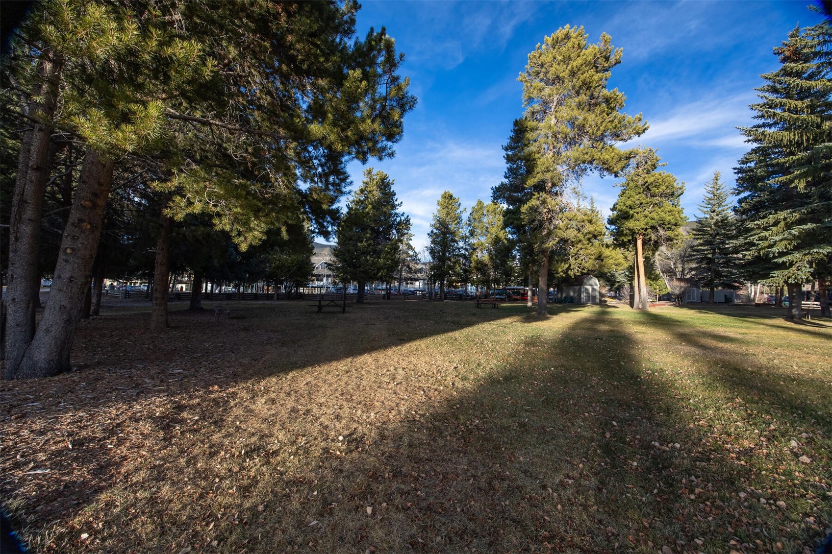 176 E La Bonte Street Dillon CO 80435