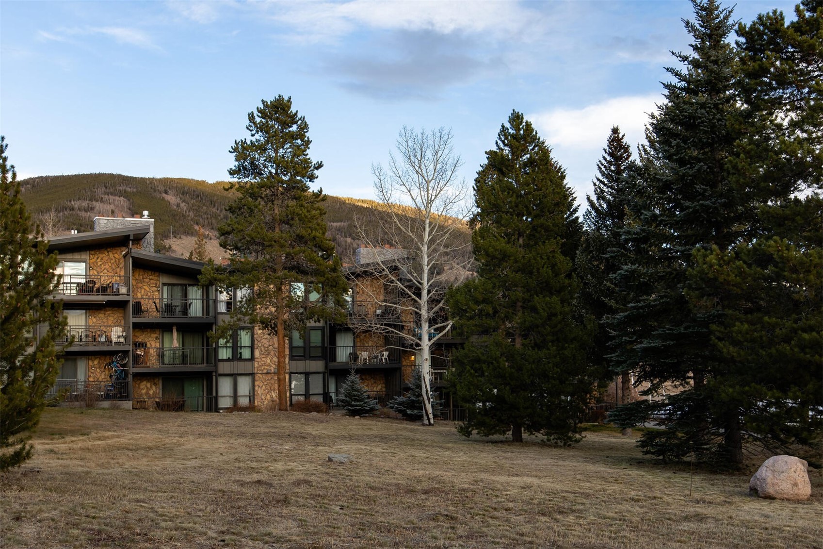 176 E La Bonte Street Dillon CO 80435